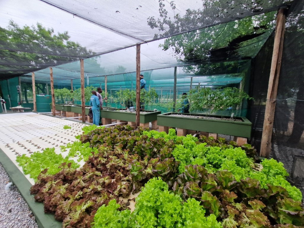 OUTAPI DAPP VTC AQUAPONICS HANDOVER