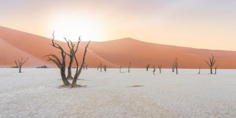 Dead-Vlei