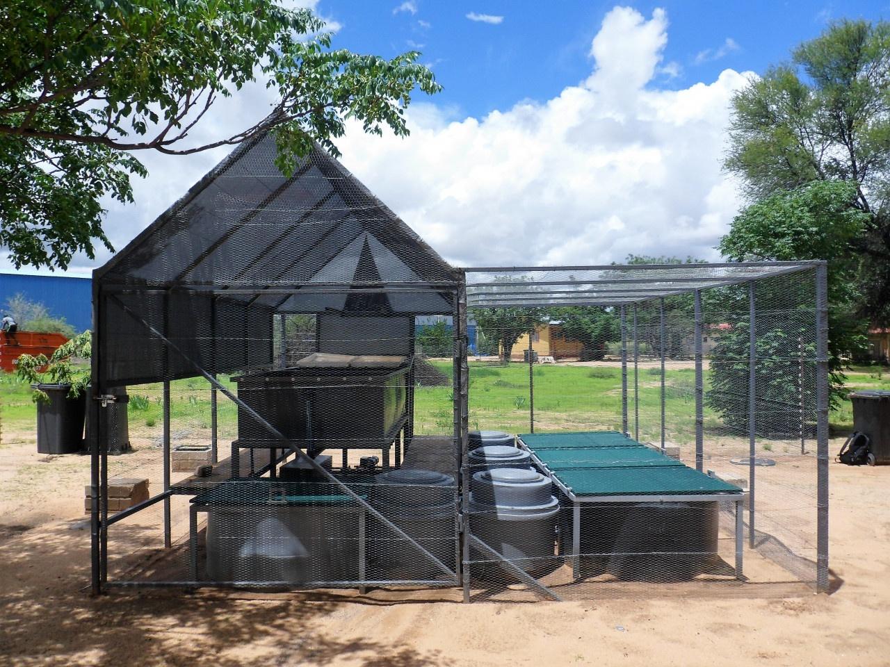 Aris Primary School Aquaponics system