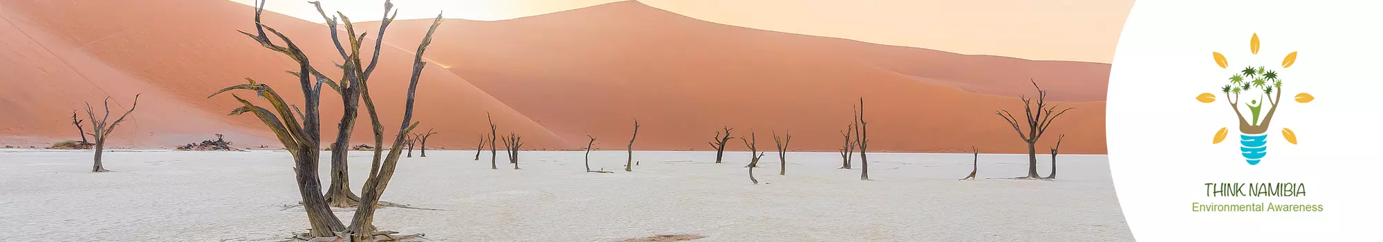 Slide background
